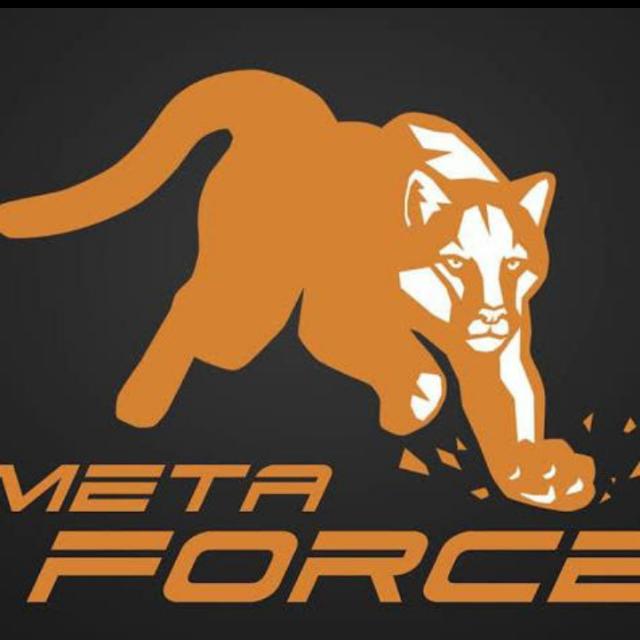 METAFORCE Life changing ?