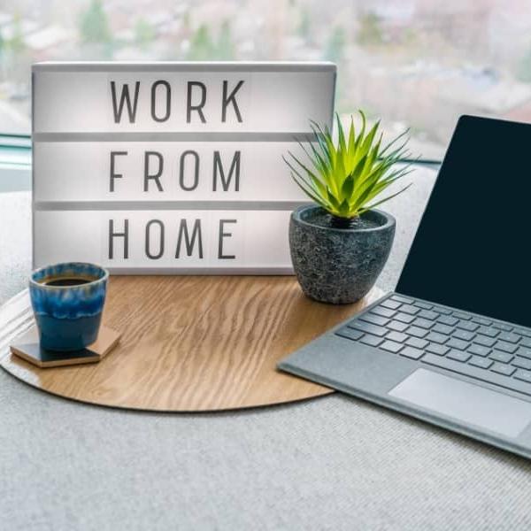 Make Money Online 2k23 ?