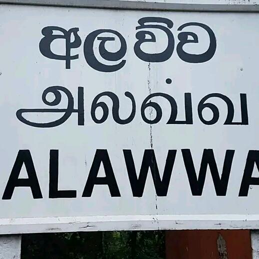 ꧁අලව්වේ⃝⃙⃔⃕彡[]ීකොල්ලො̸̶⃝ 