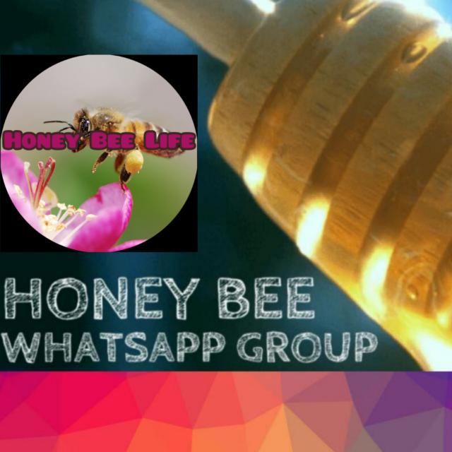 ?, ?തേനീച്ച വളർത്തൽ കൂട്ടായ്മ