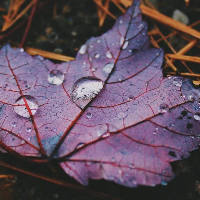 ? Wʜᴀᴛsᴀᴘᴘ Sᴛᴀᴛᴜs᭄ Gʀᴏᴜᴘ シ︎ 02 ✔︎