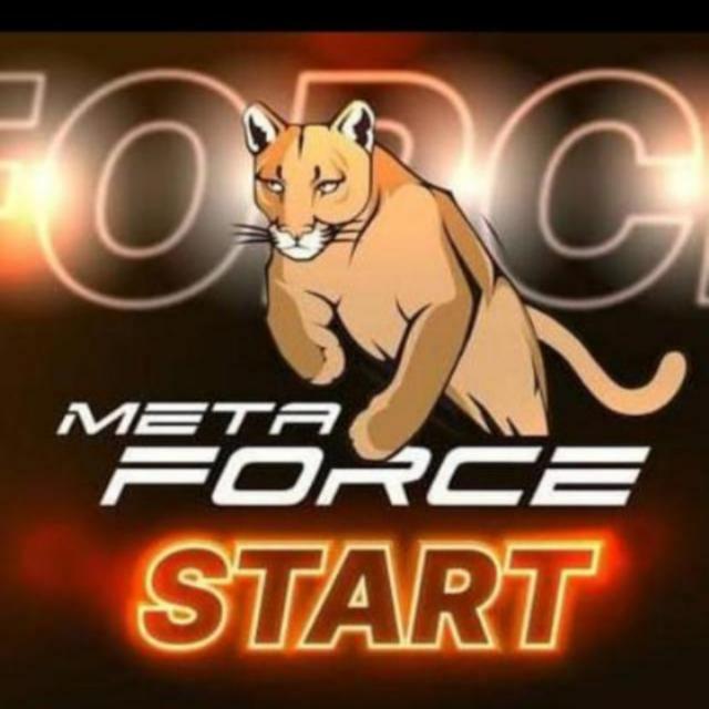 Metaforce