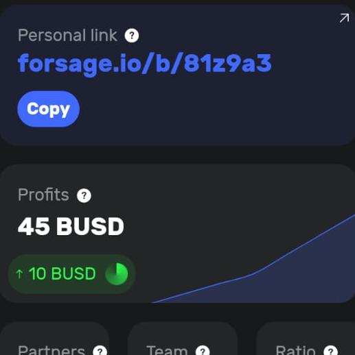 Forsge busd bnb ?