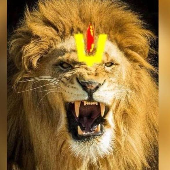 जय श्री राम ????