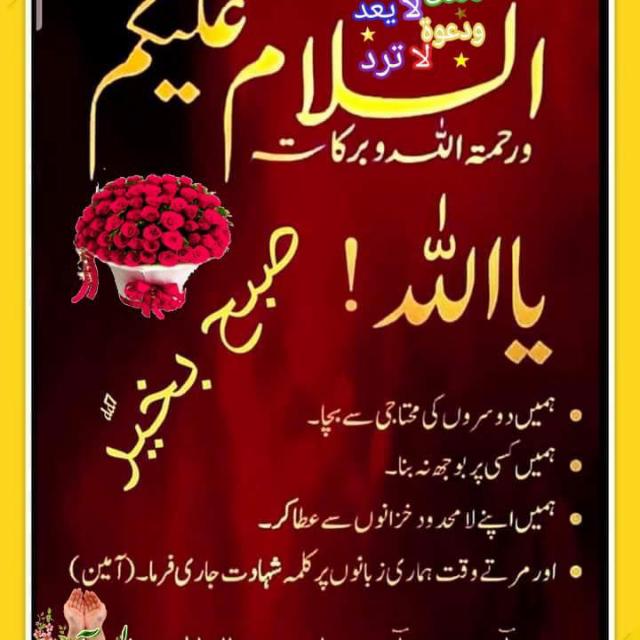 Majid forsoge teem w/R