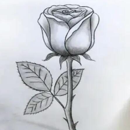 ?❤️ආදර පාරාදීසය ?❤️