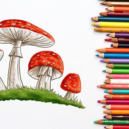 Drawing and coloring 