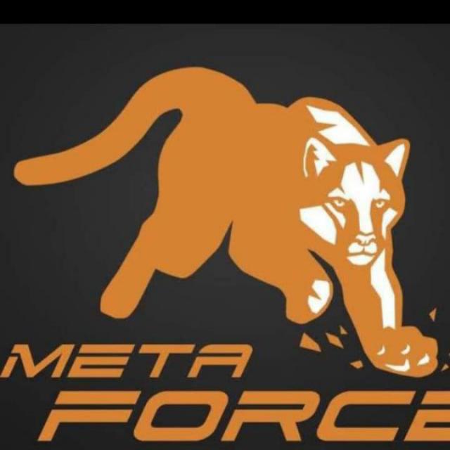 ?Online earning Platforms?