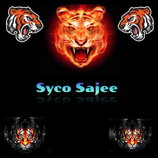 Syco Sajee Empire