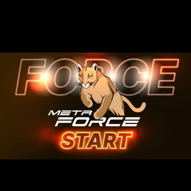 FORCE THE TIGER TEAM