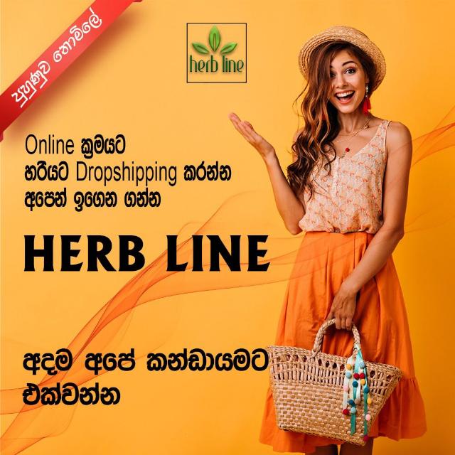 අමතර ආදයමක් ලබා ගන්න 