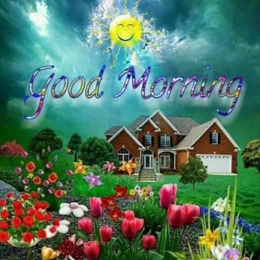 Forex all market killer