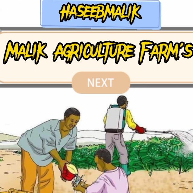 Malik Agri Farm's