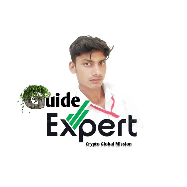 Guide Expert