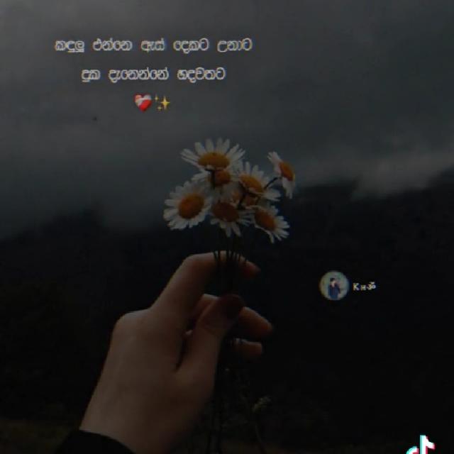 Please exits ?❤️