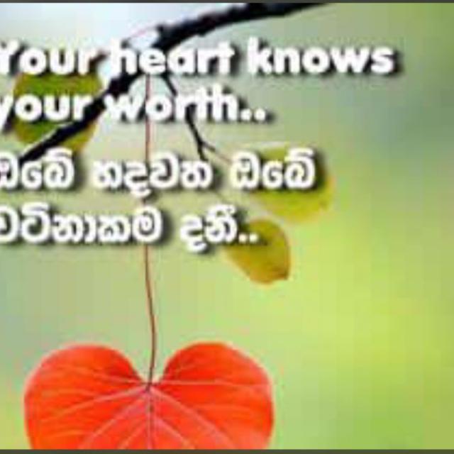 💯🌟🌸🌸🌸🌸🌸🌸🌸🌸🙌