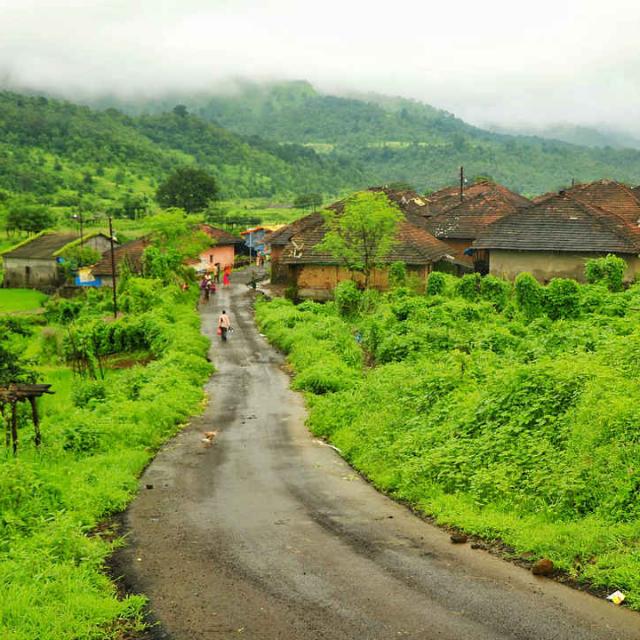 ?LITIGATION  SITE'S?