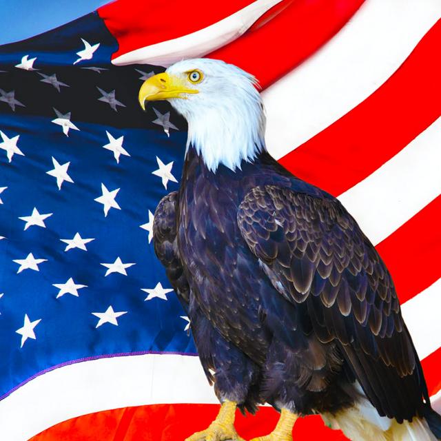 ඇමරිකන් නම්බර් අකවුන්ට්