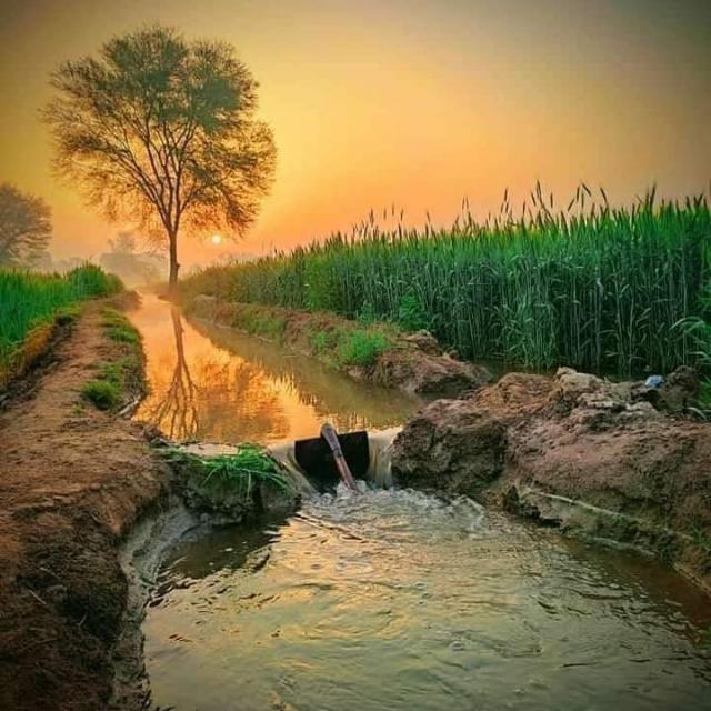 ساڈا اپنا سرائیکی وسیب