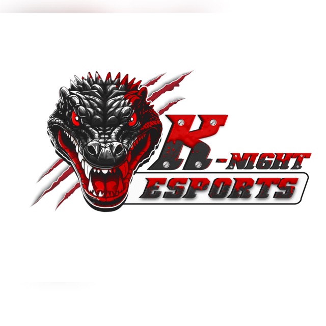 KN Esports PVT (LTD) Sales Group