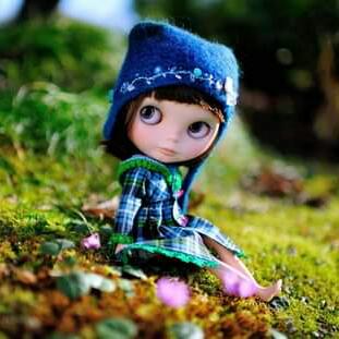 ?? වට්සැප් ස්ටේටස් අඩවිය ??❣️