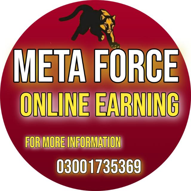 ✨META FORCE ONLINE EARNING ✨