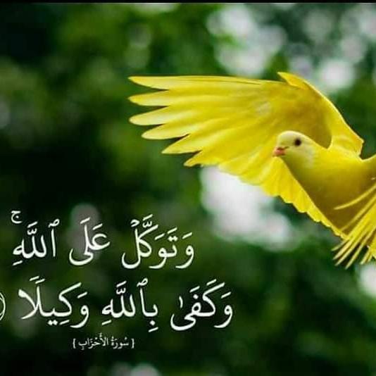 A journey to Paradise ??