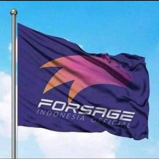 EarNing witH forSagE💯