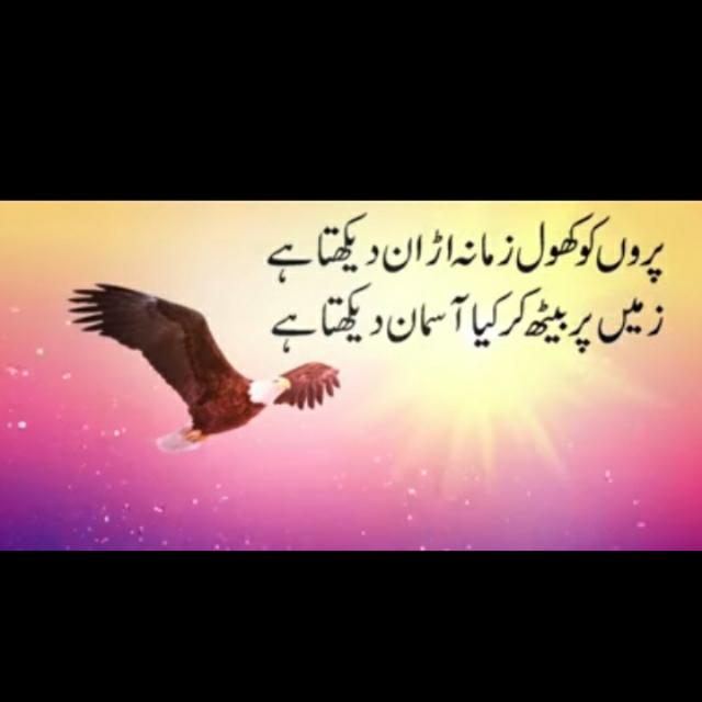 Some Thing New And Big?