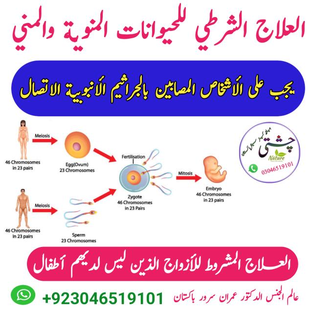 علاج الضعف الجنسي عند الذ