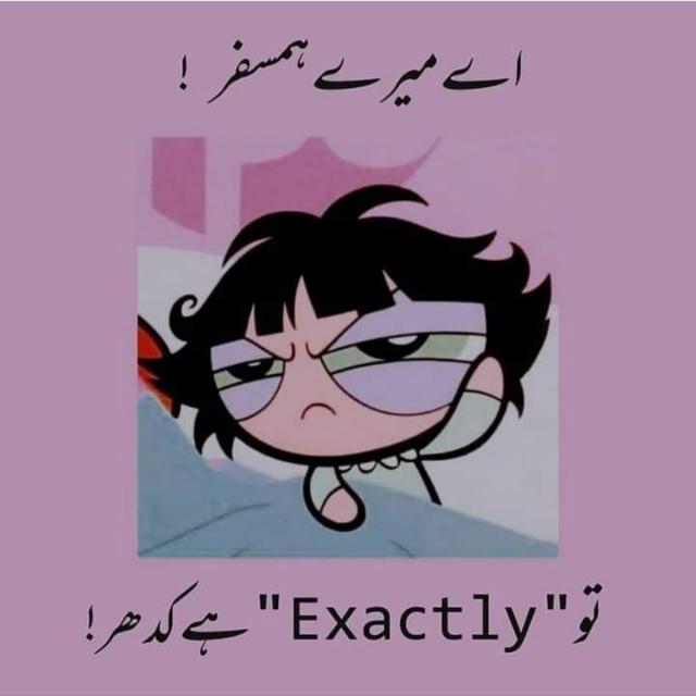 Achieve your dreams??