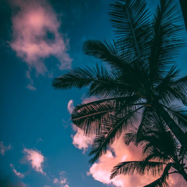 ?STᗩTᑌS ᐯIᗪEOS❤️?