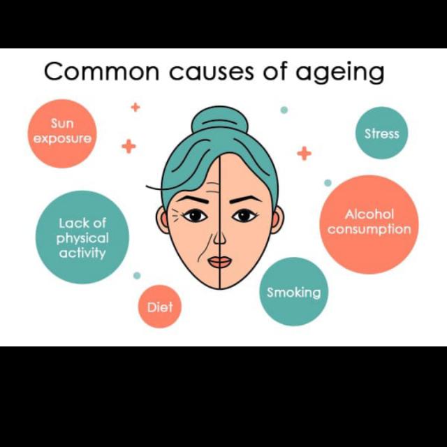 Skin & hair products ?