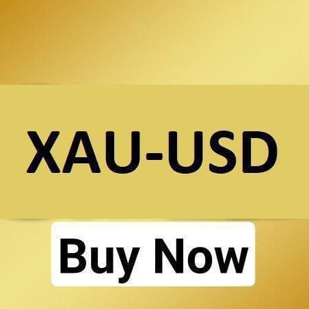 ?✅FOREXR KING MT4MT5 ✅??