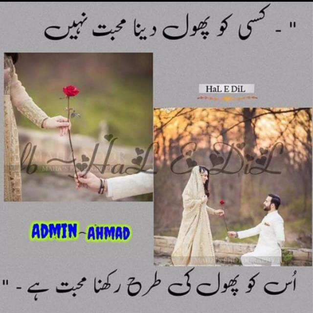 ♥️حـــــــالــ؏ـــہ❥دل🫶