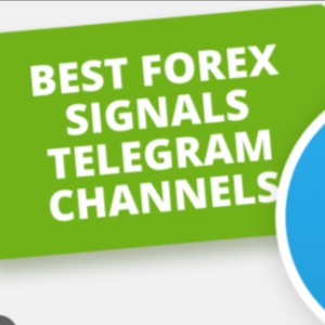 Best Forex Signals Telegram Channel