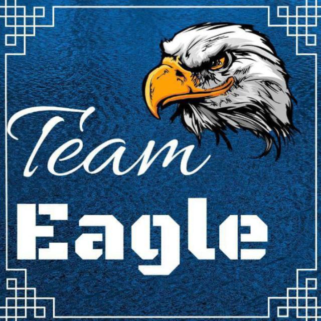 TEAM EAGLE BABHNAN GROUP