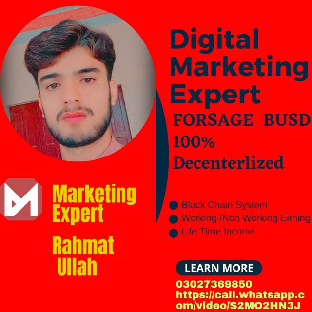 ❤️Forsage Busd Network Marketing Official Group ❤️