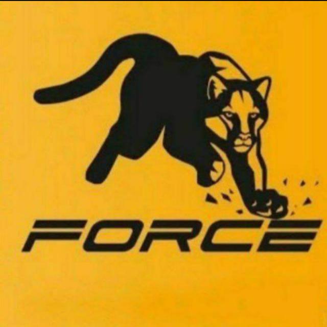 ?Meta force tiger ? team??