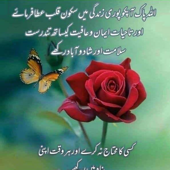 وی آئی پی دوست 