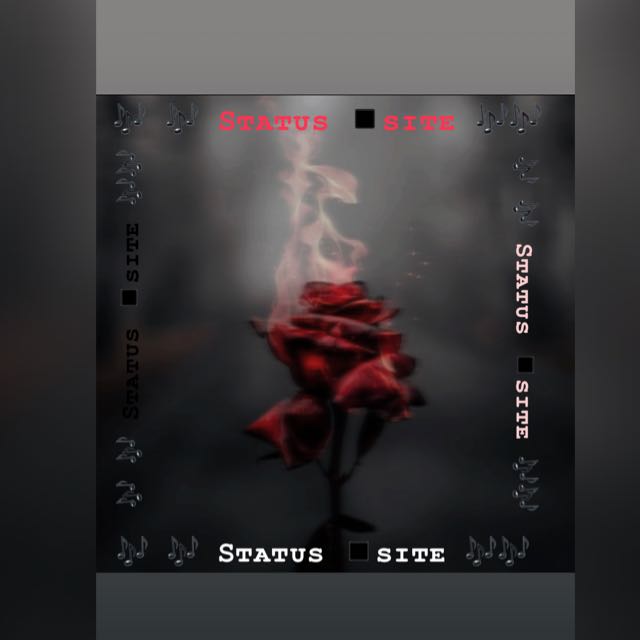 ? ? Sᴛᴀᴛᴜs ◾sɪᴛᴇ ??