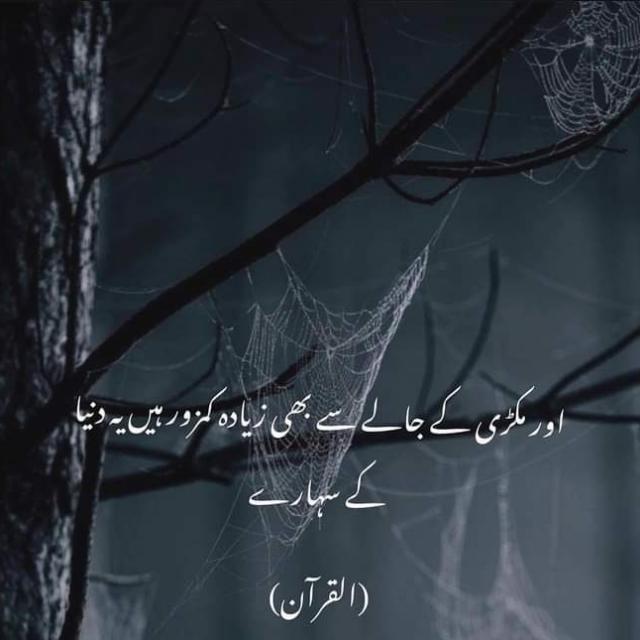 قرآن مجید اور احادیثِ مبارک