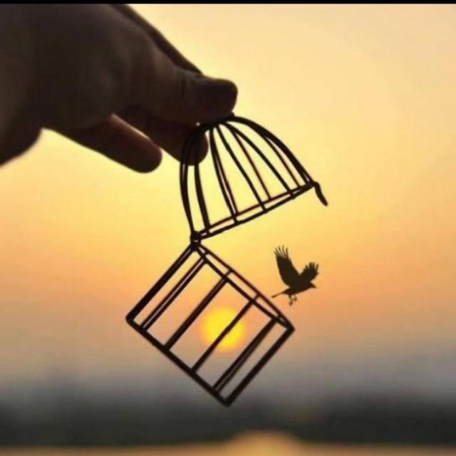 ?۞داســــــتان ؏ِـشْــق۞?