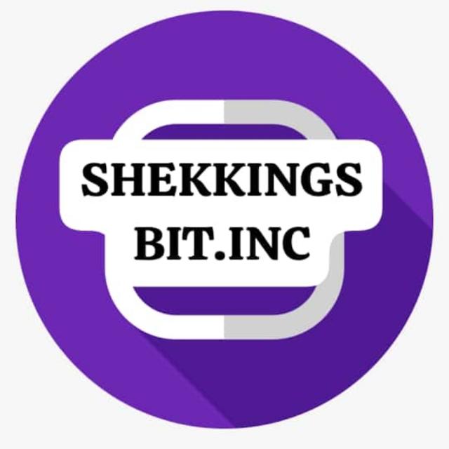 2025 EARNINGS SHEKKINGS