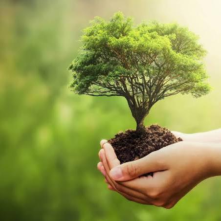 PRAKRITHY AYURVEDIC MASSAGE AND STEAM