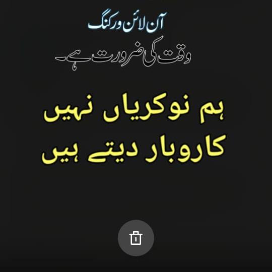 Alpha win non working