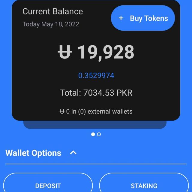 Real online earning ?