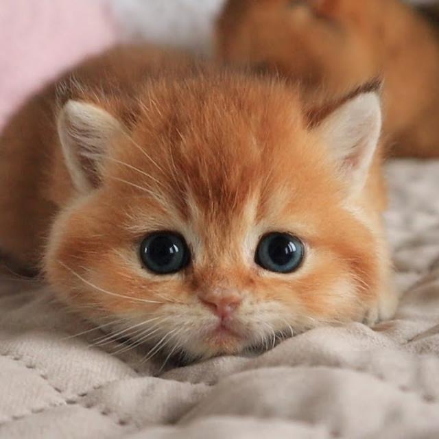 සතුටු සාගරේ ❤‍?