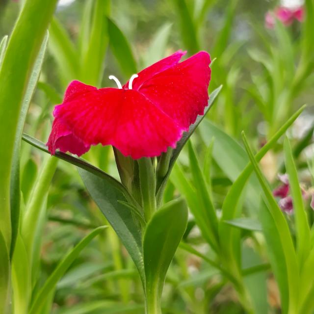 Online Work Group Of World