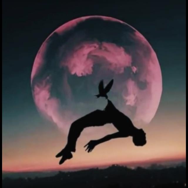 STETUS VIDEO 2❤️??